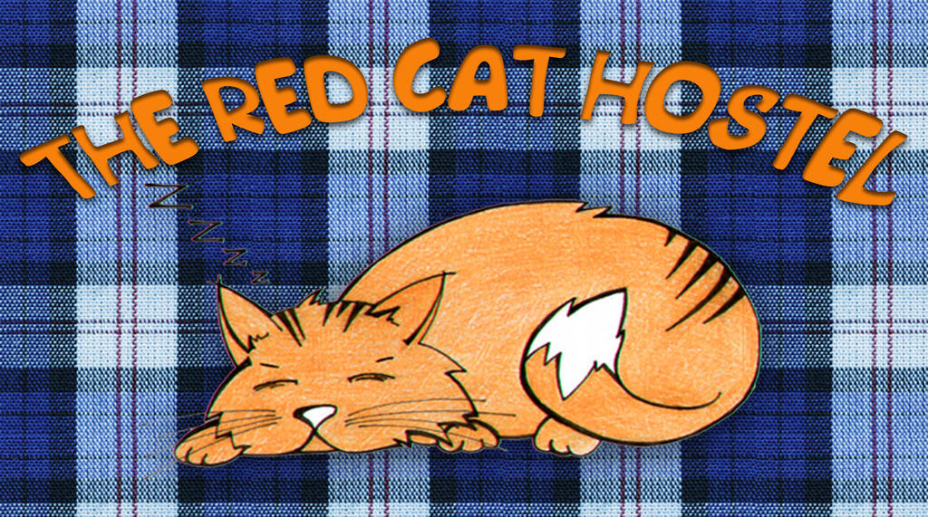 The Red Cat Hostel Donec'k Esterno foto
